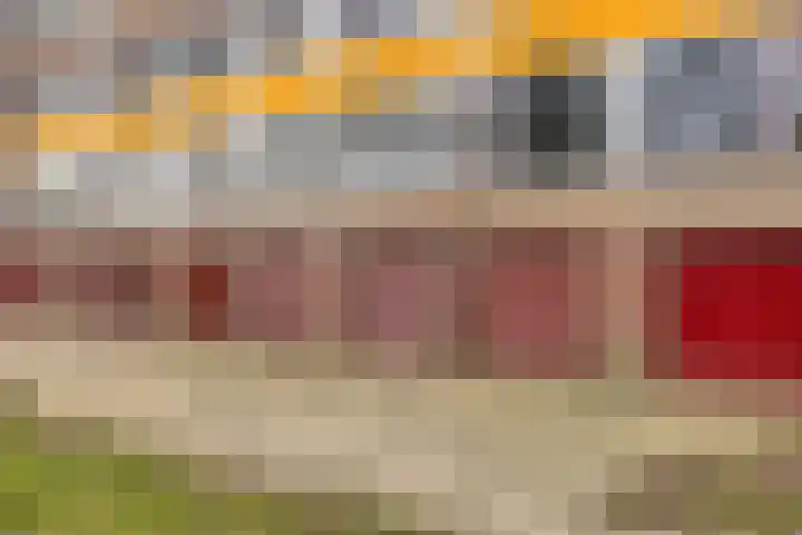 't Swin 7 Drachten thumbnail 21
