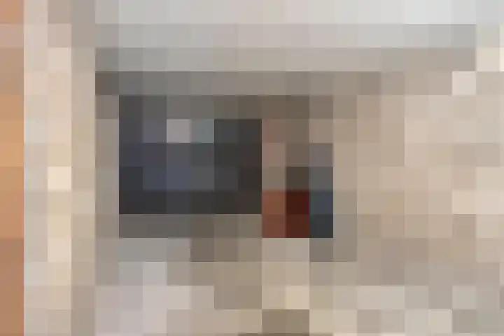 't Swin 7 Drachten thumbnail 22
