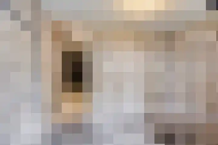 't Swin 7 Drachten thumbnail 24