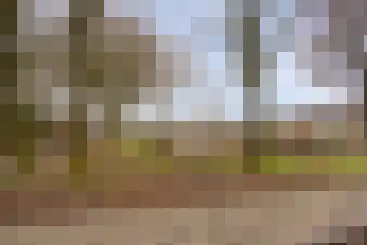 't Swin 7 Drachten thumbnail 25