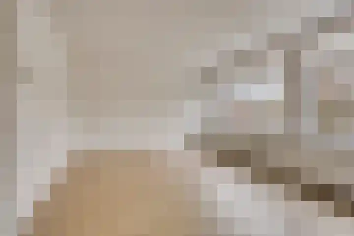 't Swin 7 Drachten thumbnail 5