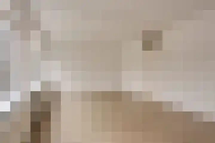 't Swin 7 Drachten thumbnail 6