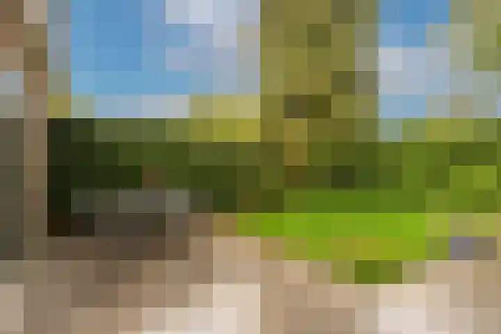 't Tuintje 18 Laren thumbnail 20
