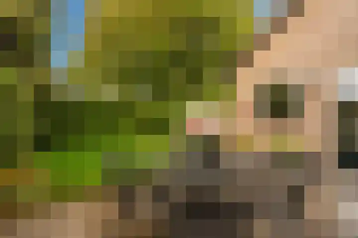't Tuintje 18 Laren thumbnail 21