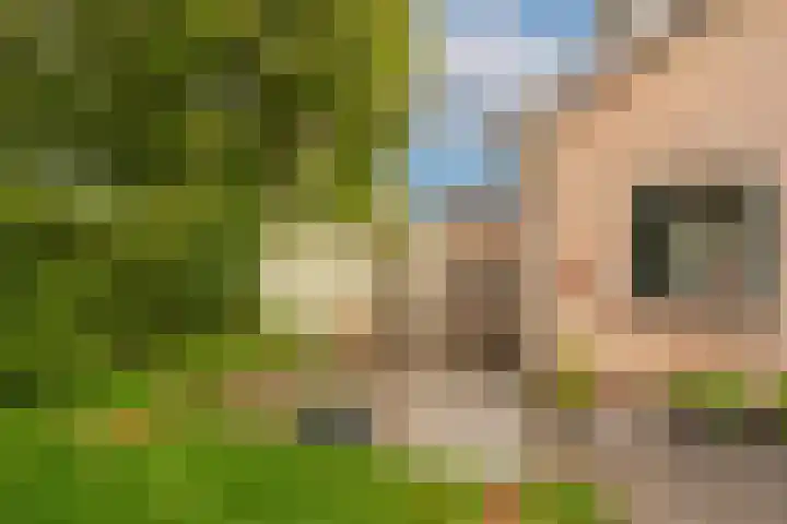 't Tuintje 18 Laren thumbnail 22