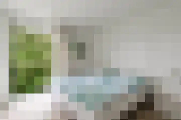 't Tuintje 18 Laren thumbnail 24
