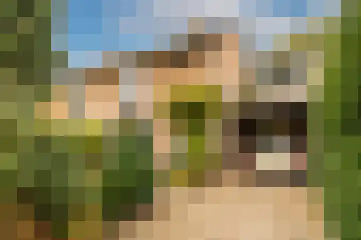 't Tuintje 18 Laren thumbnail 41