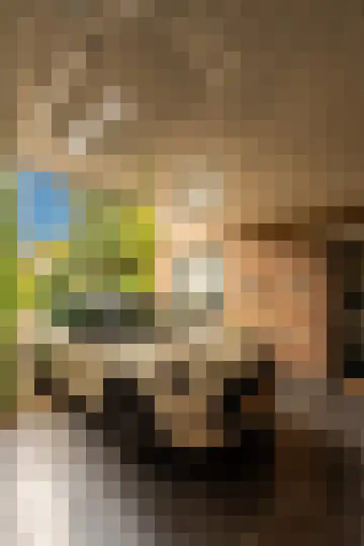't Tuintje 18 Laren thumbnail 42