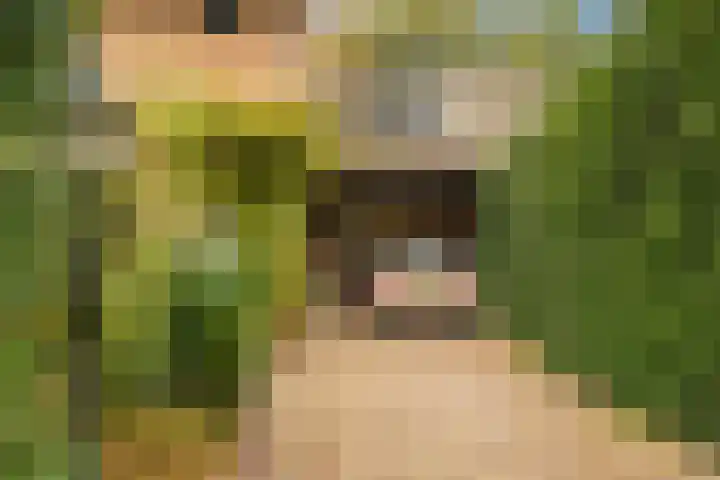 't Tuintje 18 Laren thumbnail 43