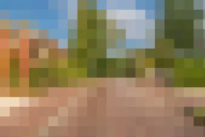 't Tuintje 18 Laren thumbnail 44