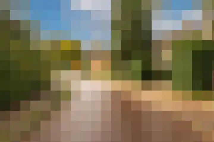 't Tuintje 18 Laren thumbnail 45