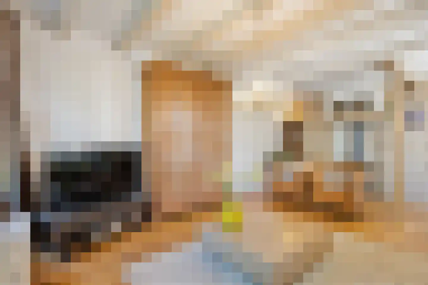 't Vaartje 126 Waspik thumbnail 15