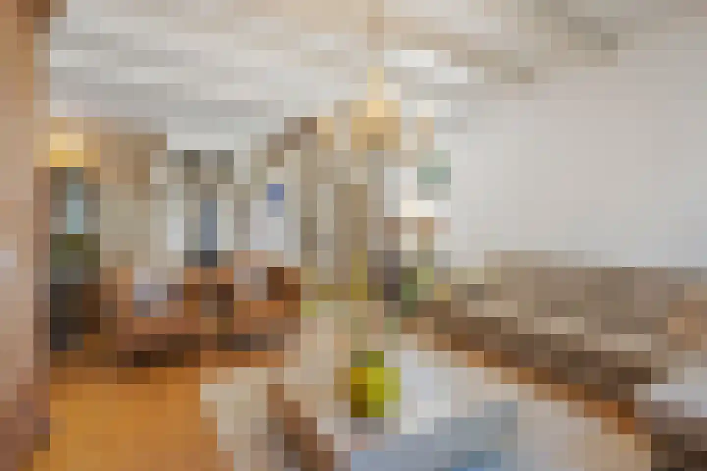 't Vaartje 126 Waspik thumbnail 16