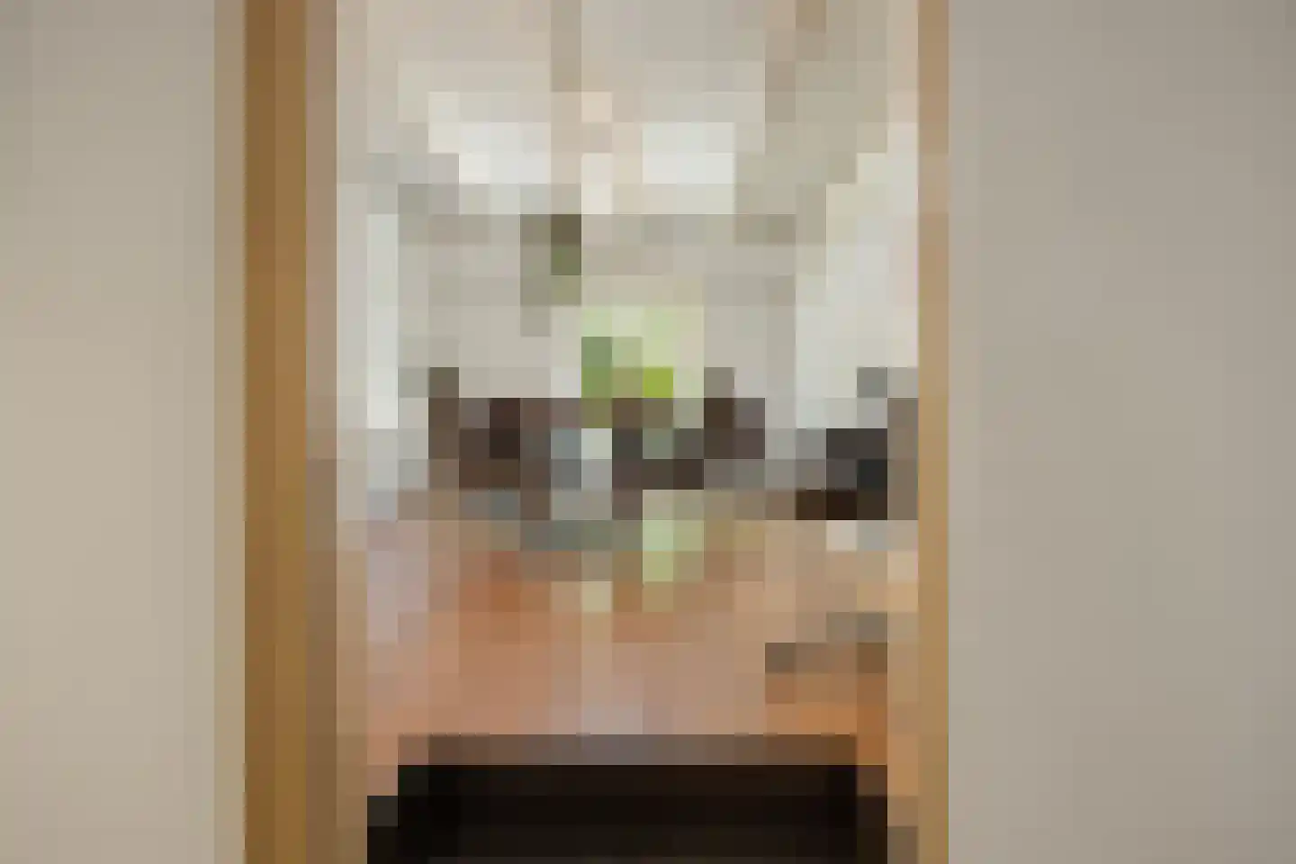 't Vaartje 126 Waspik thumbnail 22