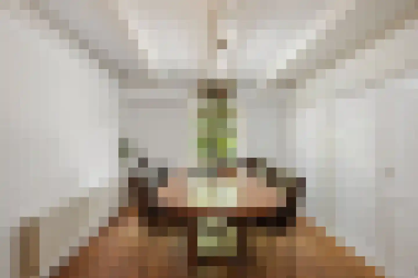 't Vaartje 126 Waspik thumbnail 23