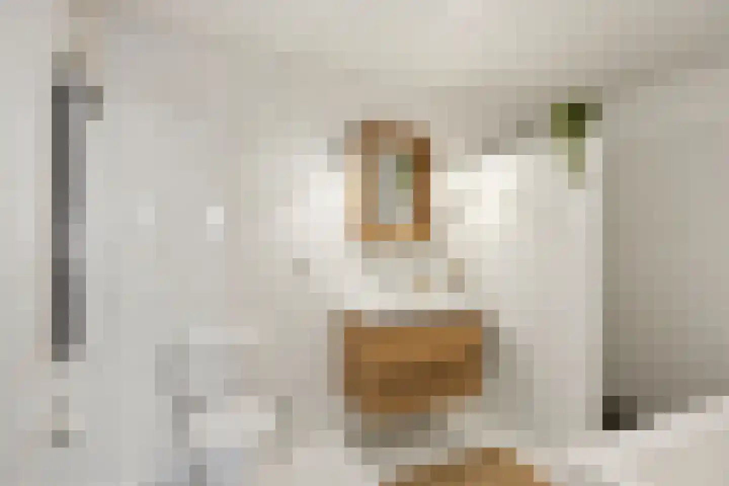 't Vaartje 126 Waspik thumbnail 26
