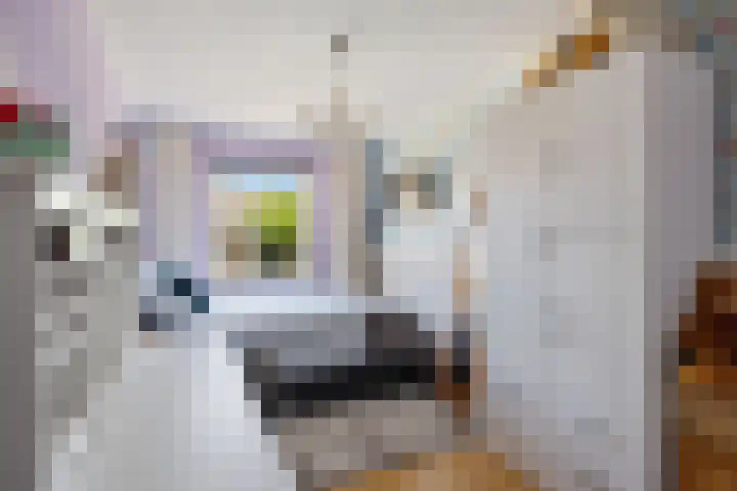 't Vaartje 126 Waspik thumbnail 32