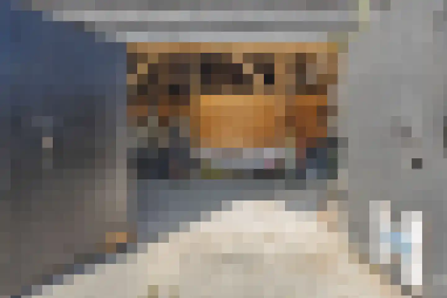 't Vaartje 126 Waspik thumbnail 35