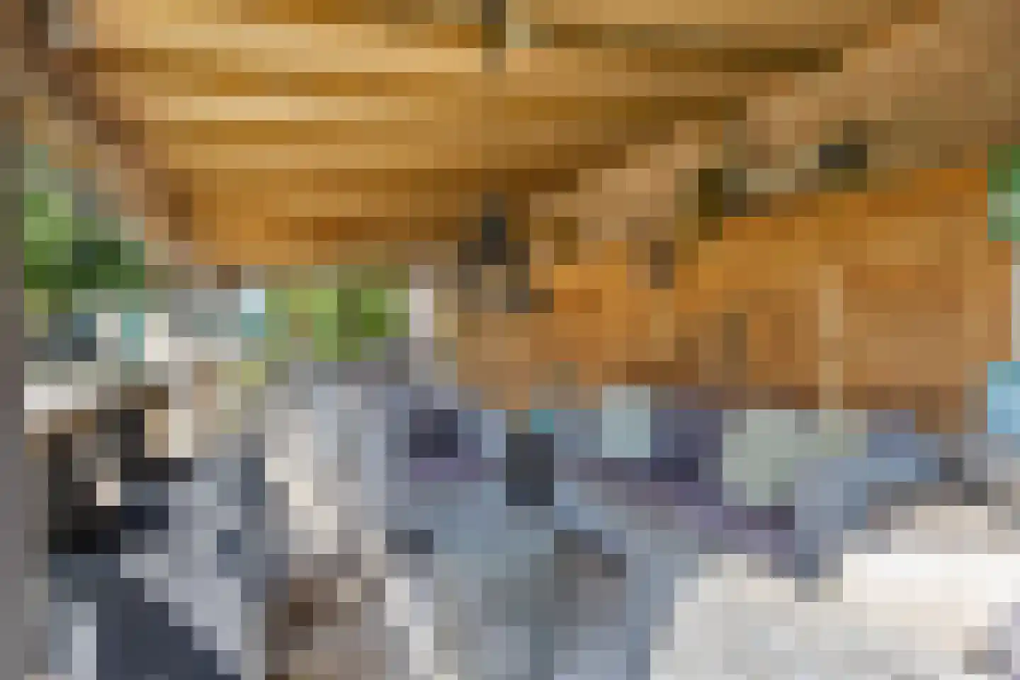 't Vaartje 126 Waspik thumbnail 50