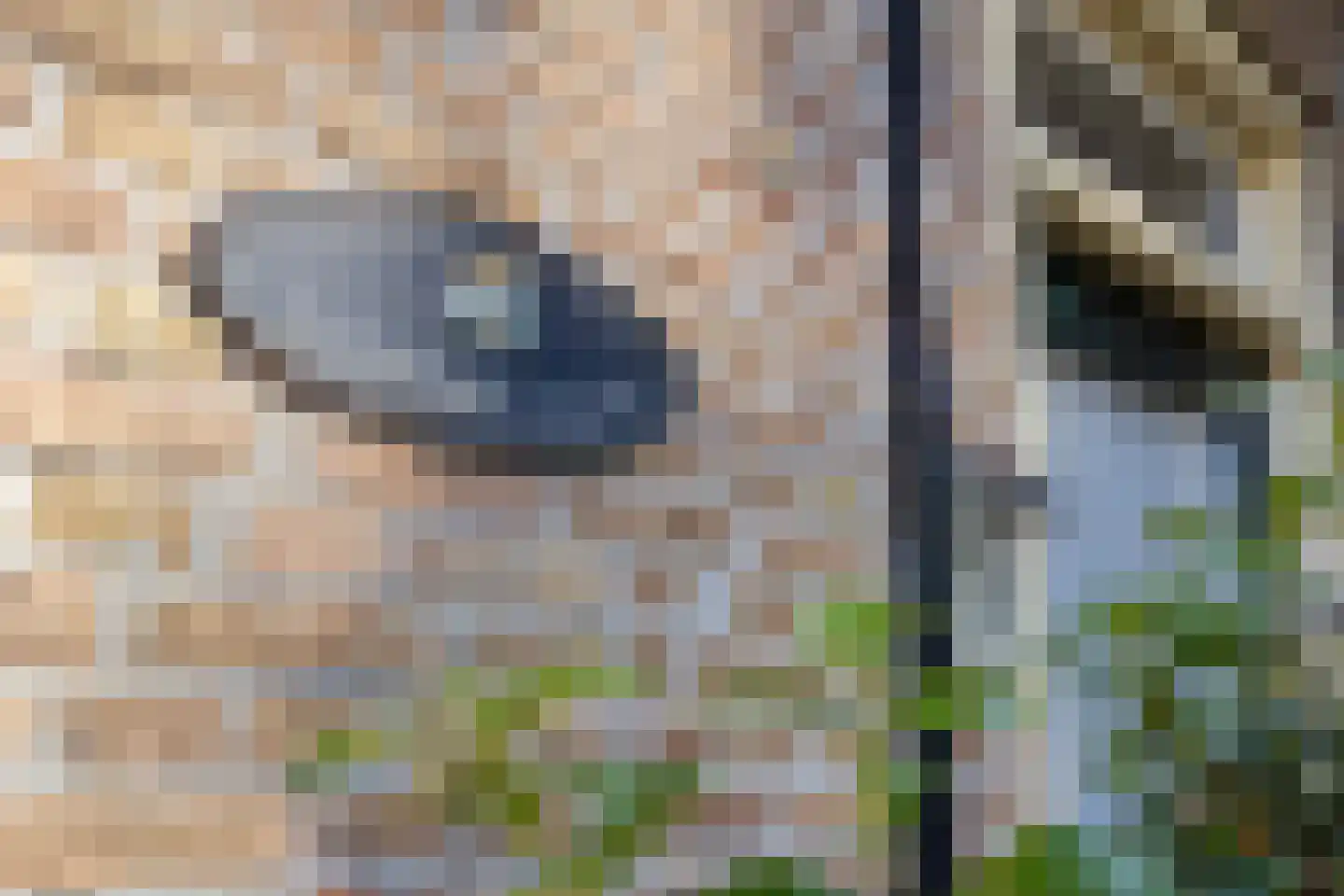 't Vaartje 126 Waspik thumbnail 6