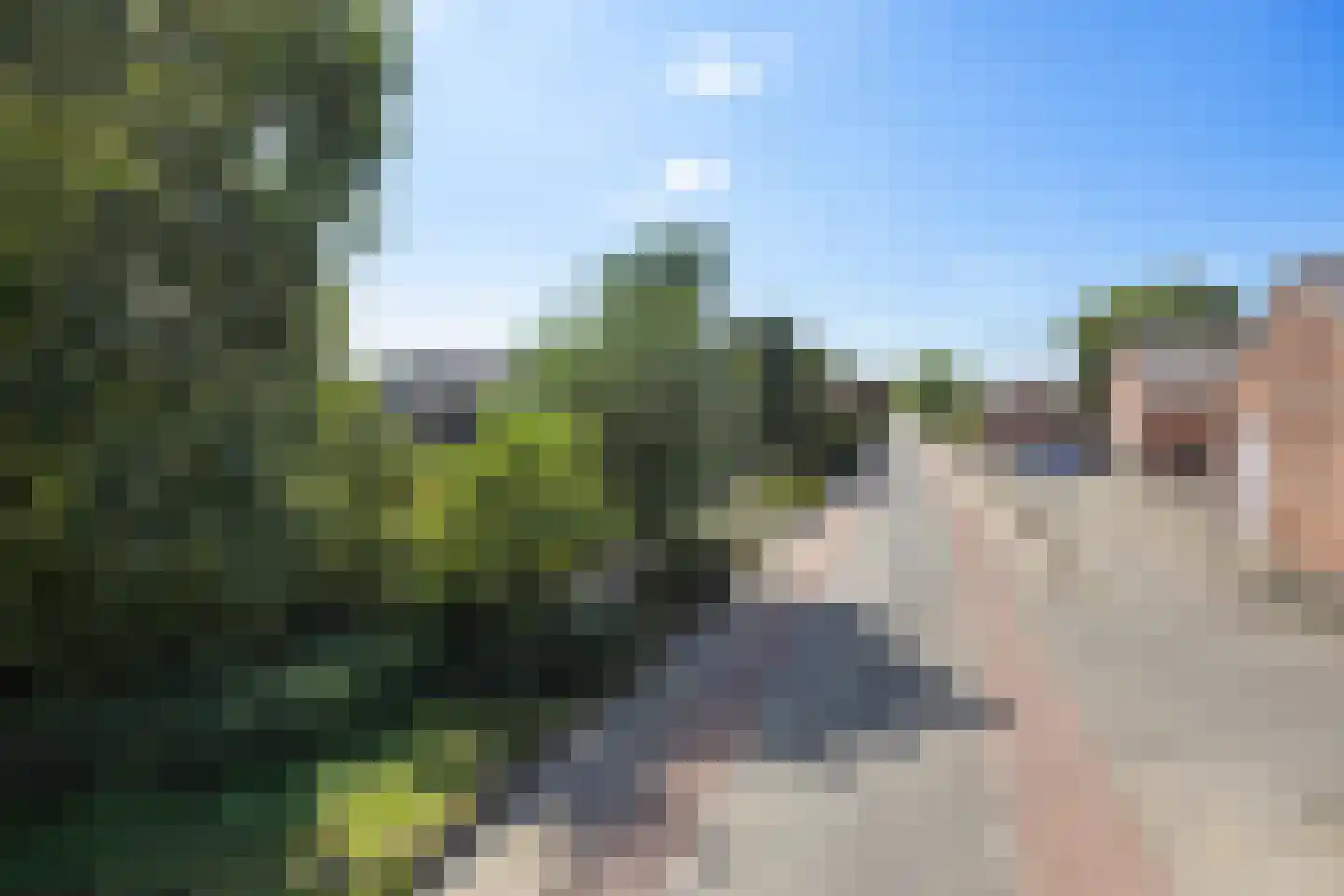 't Vaartje 126 Waspik thumbnail 60