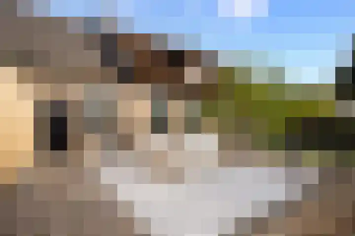 't Vaartje 33 Waspik