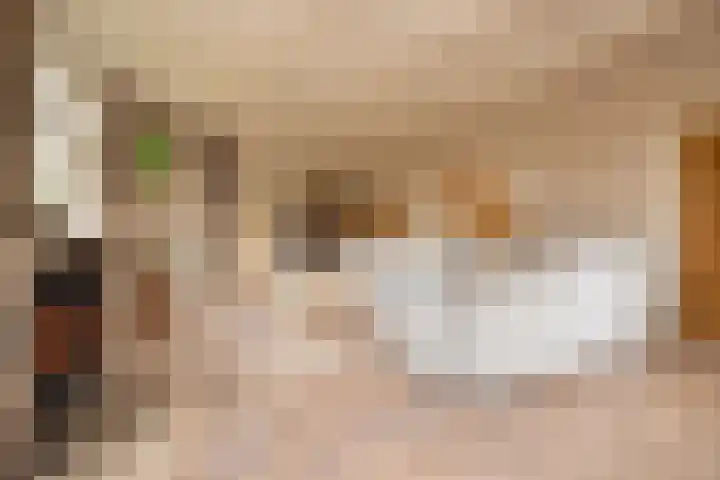 't Vaartje 33 Waspik thumbnail 11
