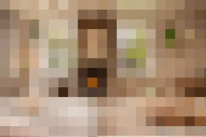 't Vaartje 33 Waspik thumbnail 12