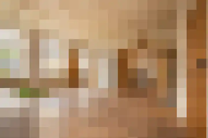 't Vaartje 33 Waspik thumbnail 13