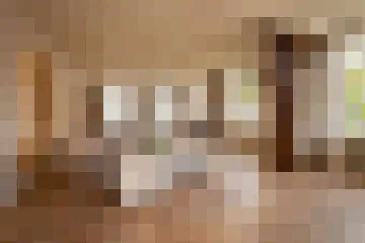 't Vaartje 33 Waspik thumbnail 14