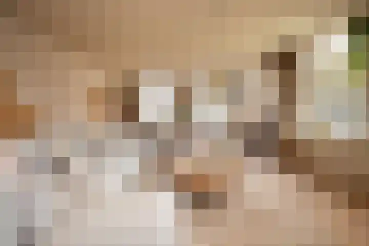 't Vaartje 33 Waspik thumbnail 15