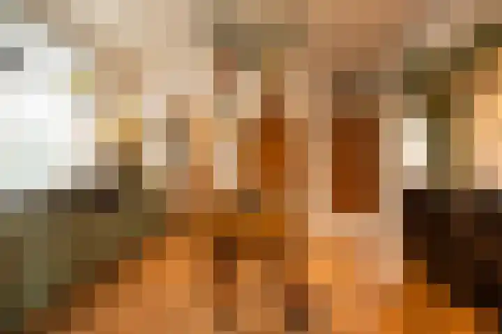 't Vaartje 33 Waspik thumbnail 24