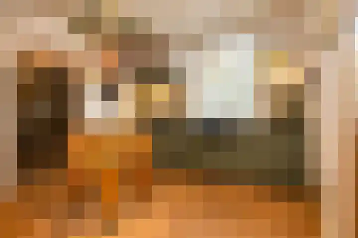 't Vaartje 33 Waspik thumbnail 27