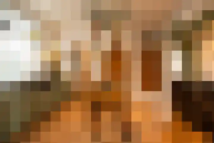 't Vaartje 33 Waspik foto 3