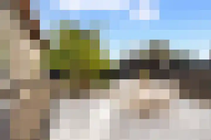 't Vaartje 33 Waspik thumbnail 32