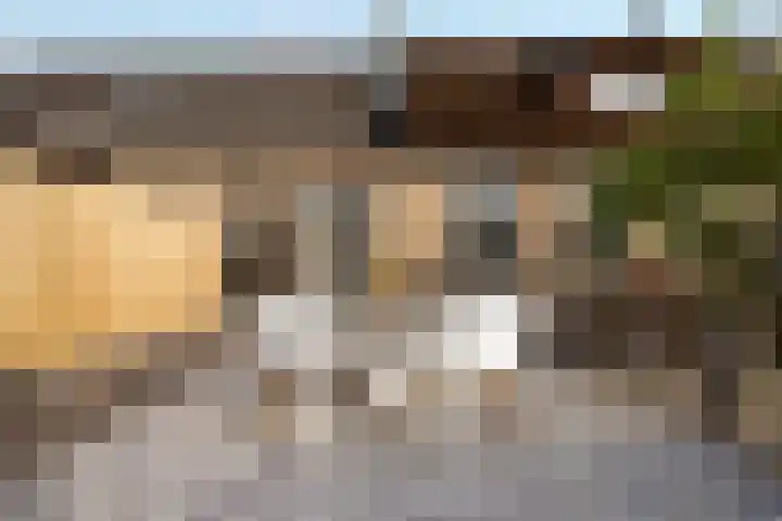 't Vaartje 33 Waspik thumbnail 33