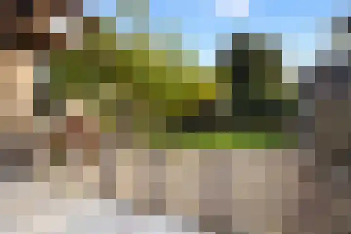 't Vaartje 33 Waspik thumbnail 34