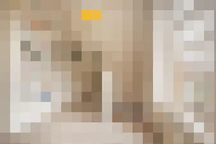 't Vaartje 33 Waspik thumbnail 40