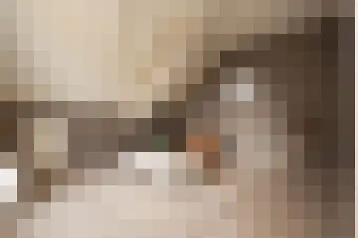 't Vaartje 33 Waspik thumbnail 41