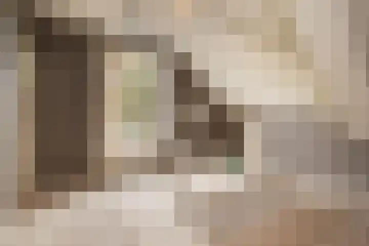 't Vaartje 33 Waspik thumbnail 42
