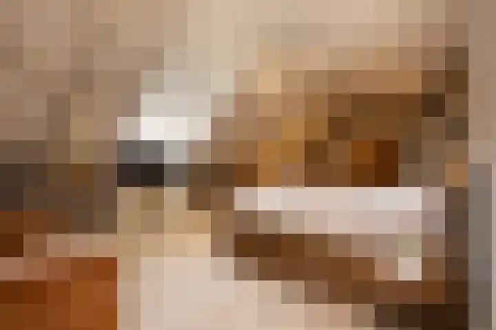 't Vaartje 33 Waspik thumbnail 43