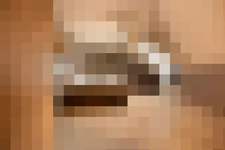 't Vaartje 33 Waspik thumbnail 44