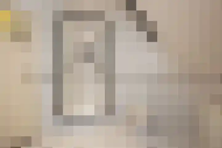 't Vaartje 33 Waspik thumbnail 48