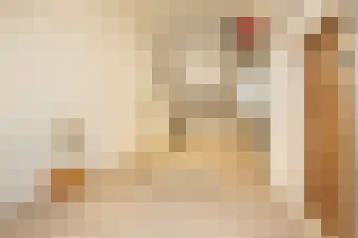 't Vaartje 33 Waspik thumbnail 49