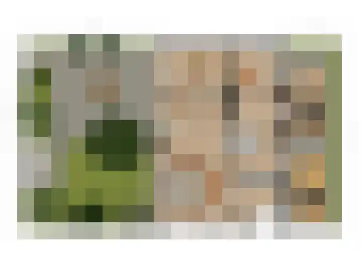't Vaartje 33 Waspik thumbnail 55