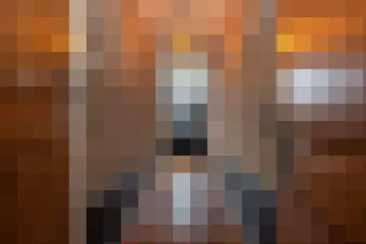 't Vaartje 33 Waspik thumbnail 8