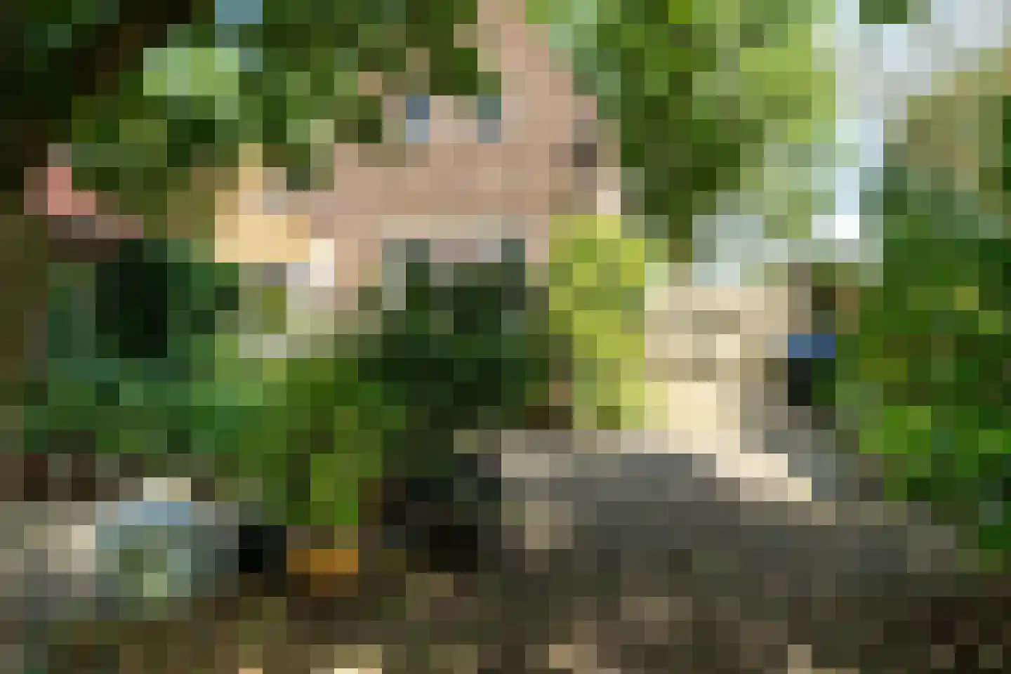 't Vaartje 52 Waspik thumbnail 16