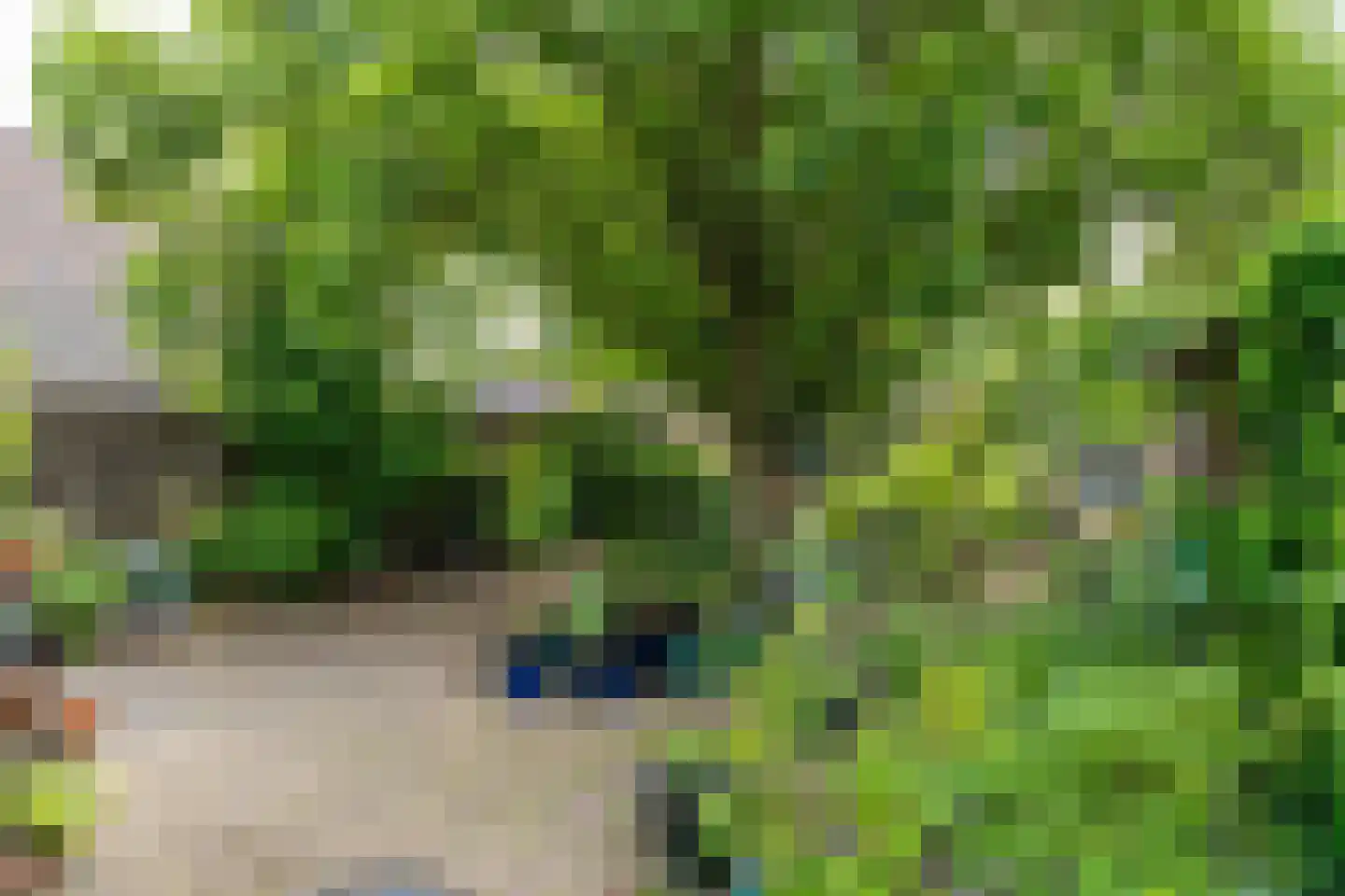 't Vaartje 52 Waspik thumbnail 17