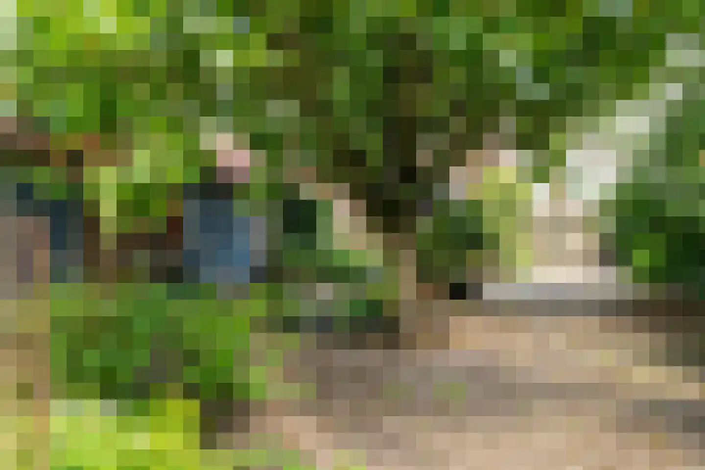't Vaartje 52 Waspik thumbnail 18