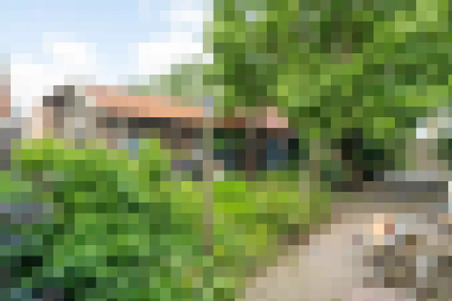 't Vaartje 52 Waspik thumbnail 19